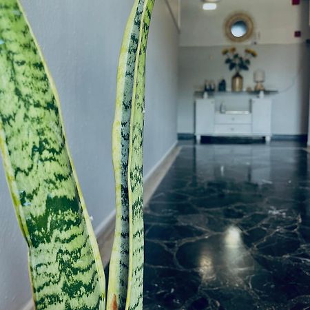 Aktaion Hotel Skala Alykis Esterno foto
