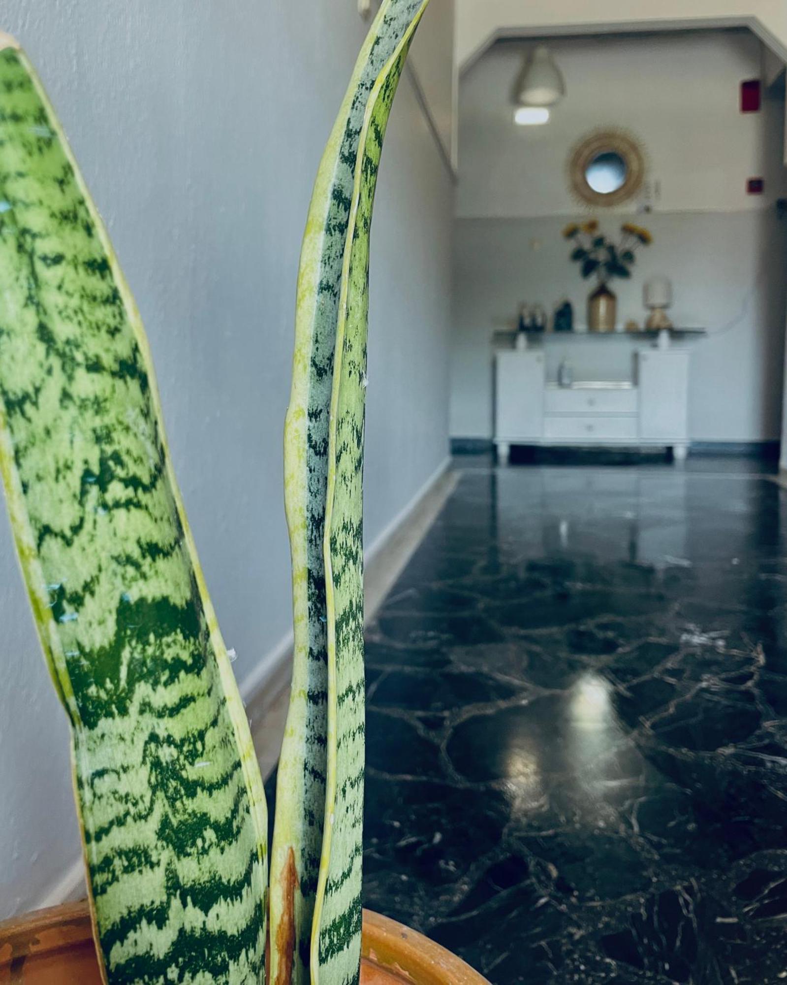 Aktaion Hotel Skala Alykis Esterno foto