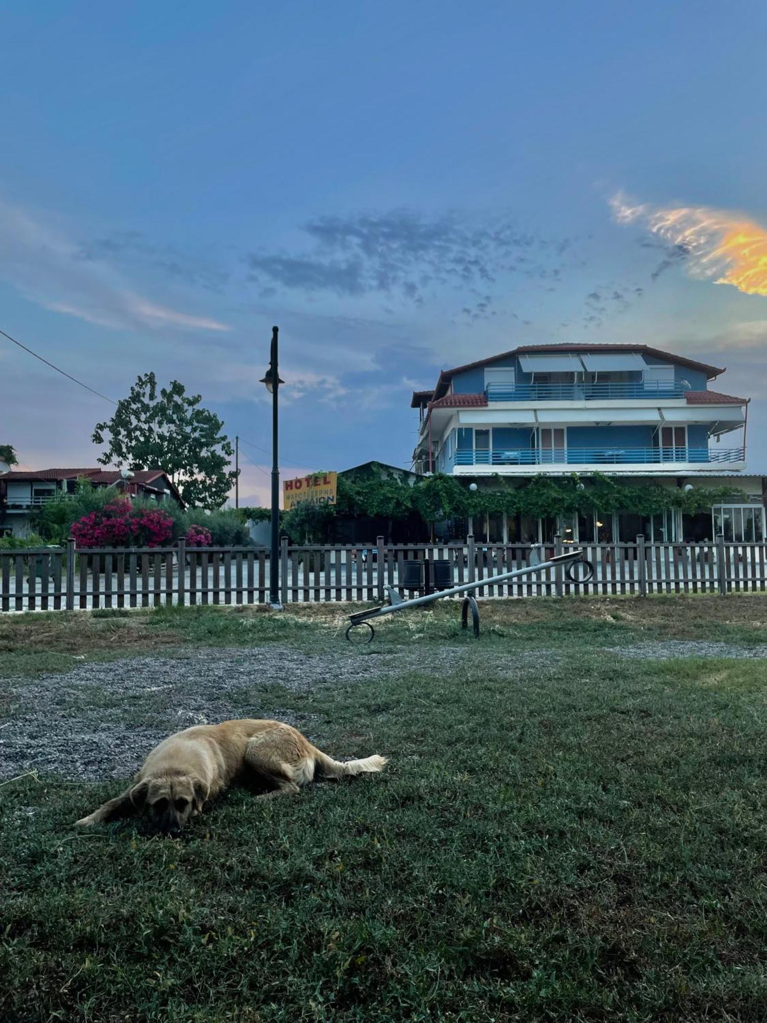 Aktaion Hotel Skala Alykis Esterno foto