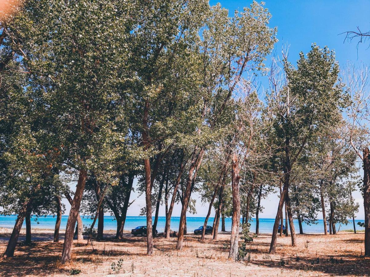 Aktaion Hotel Skala Alykis Esterno foto